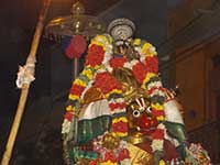 Srirangam Renganathar Hanuman Vahanam